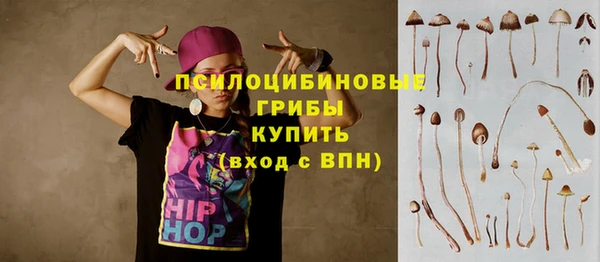 дмт Балахна