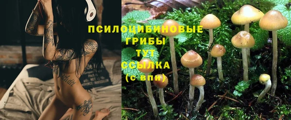 дмт Балахна